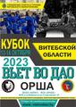 КУБОК ВИТЕБСКОЙ ОБЛАСТИ ПО ВЬЕТ ВО ДАО