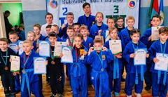 ПЕРВЕНСТВО ШУМИЛИНСКОГО РАЙОНА ПО ВЬЕТ ВО ДАО 12.02.2023