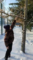 ФОТОАЛЬБОМ 