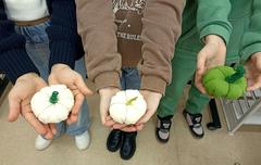 НАШ ФОТООТЧЁТ