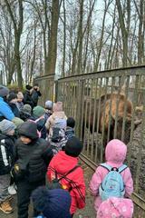 ФОТОАЛЬБОМ 