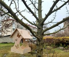 ФОТОАЛЬБОМ 