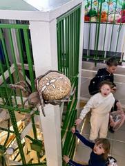 ФОТОАЛЬБОМ 