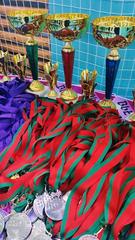 ЧЕМПИОНАТ И ПЕРВЕНСТВО ВИТЕБСКОЙ ОБЛАСТИ ПО ВЬЕТ ВО ДАО