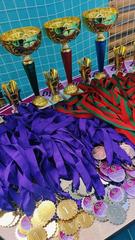 ЧЕМПИОНАТ И ПЕРВЕНСТВО ВИТЕБСКОЙ ОБЛАСТИ ПО ВЬЕТ ВО ДАО