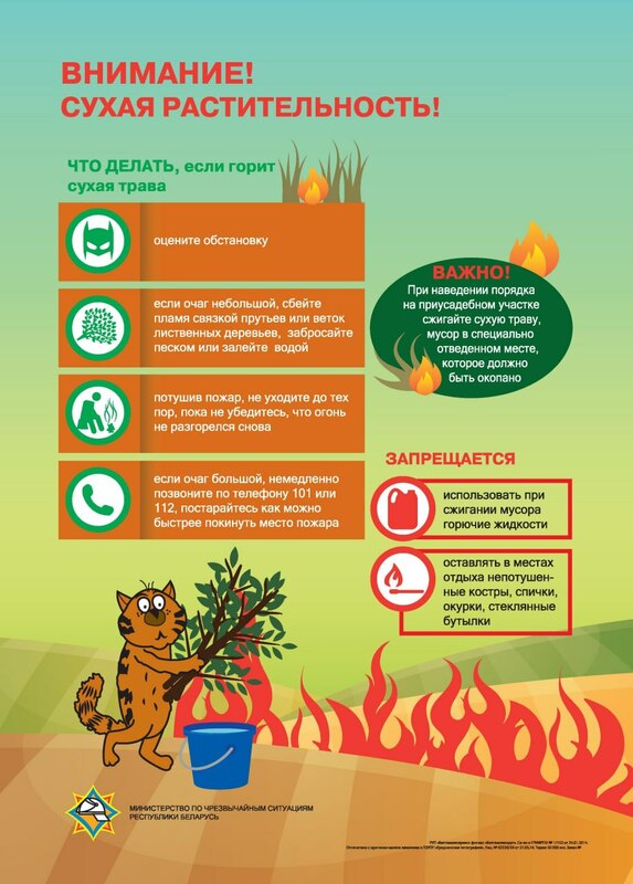 БЕЗОПАСНАЯ ВЕСНА